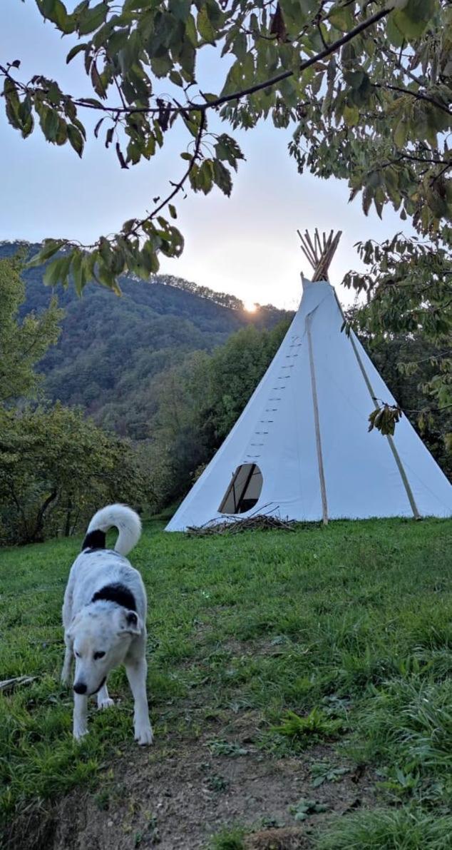 @Gatetothewild Bed & Breakfast Coreglia Ligure Exterior photo